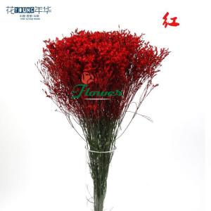 红色水晶草