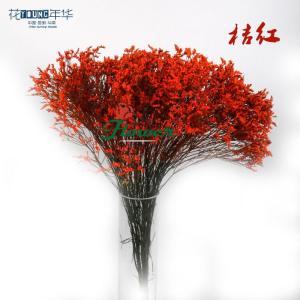 桔红水晶草