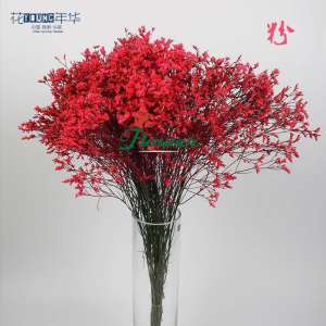 粉色水晶草