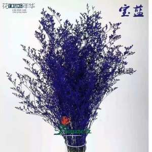 宝蓝情人草