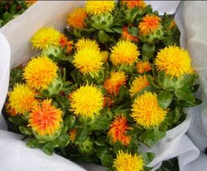 橙菠萝
