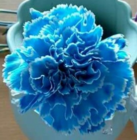 染色彩康蓝色