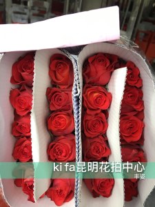 丰姿