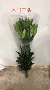 木门多头