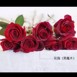 黑玫