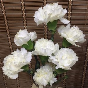 白康