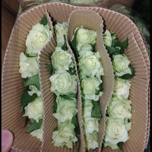 绿玉