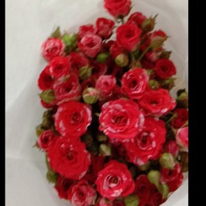 花火