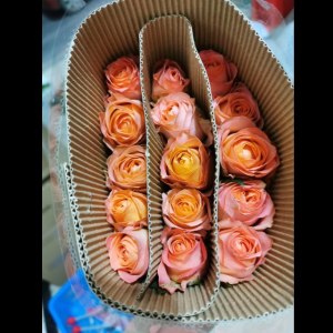 香妃