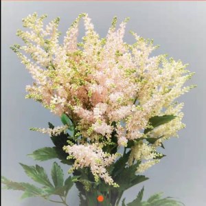 络新妇-粉色