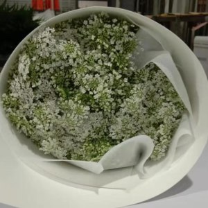 蕾丝头