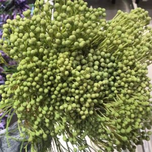 进口珊瑚-浅绿色70cm