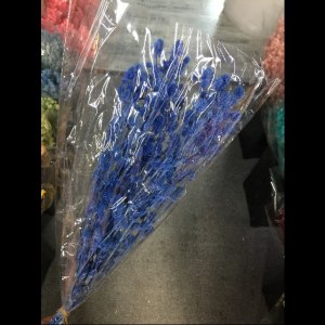永生情人果宝蓝色