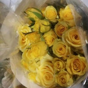 多头黄金时代