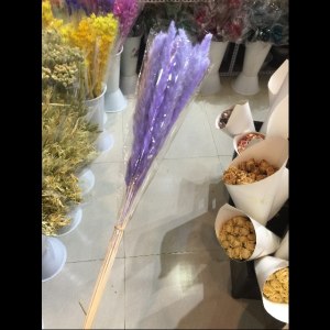 紫色小芦苇干花 (若干枝/扎)