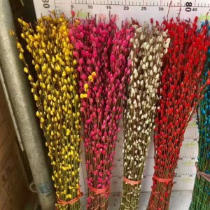银柳80cm-玫红色