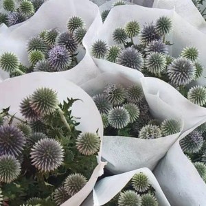 蓝心球