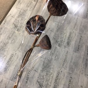 莲蓬干花