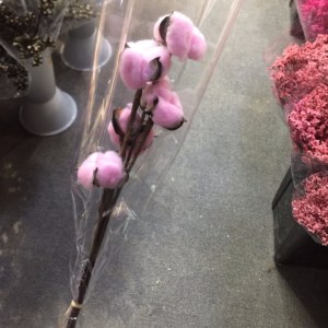 棉花短单头-粉色