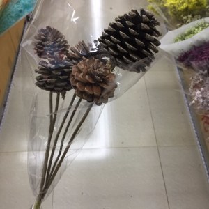 松果