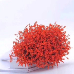 橙色水晶草 (0.5KG/扎)