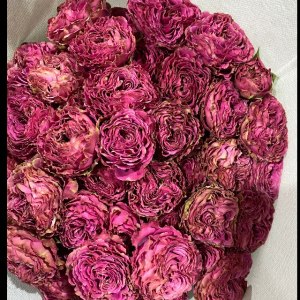 多头紫玲珑