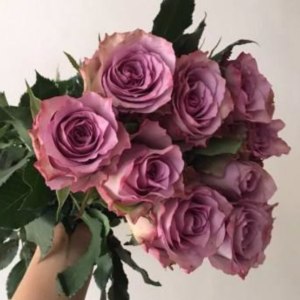 紫霞仙子