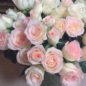 小白兔