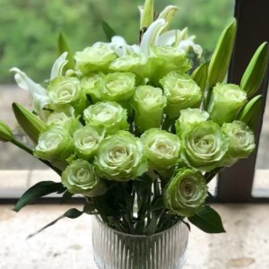 绿光