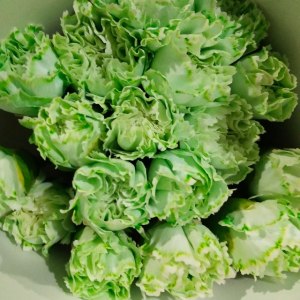 马卡龙康···绿