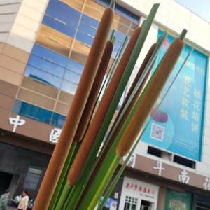 香花