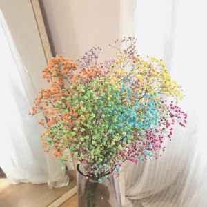 吸色七彩千万星
