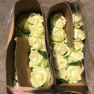 南诏公主