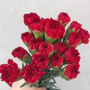 洪福康